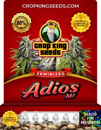 adios mf-image